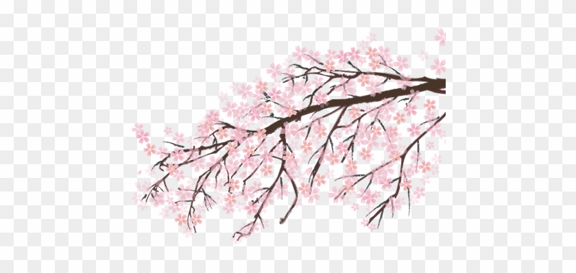 Sakura Png Images Free Download Japanese Cherry Blossom - Tree Anime Sakura Png #762396