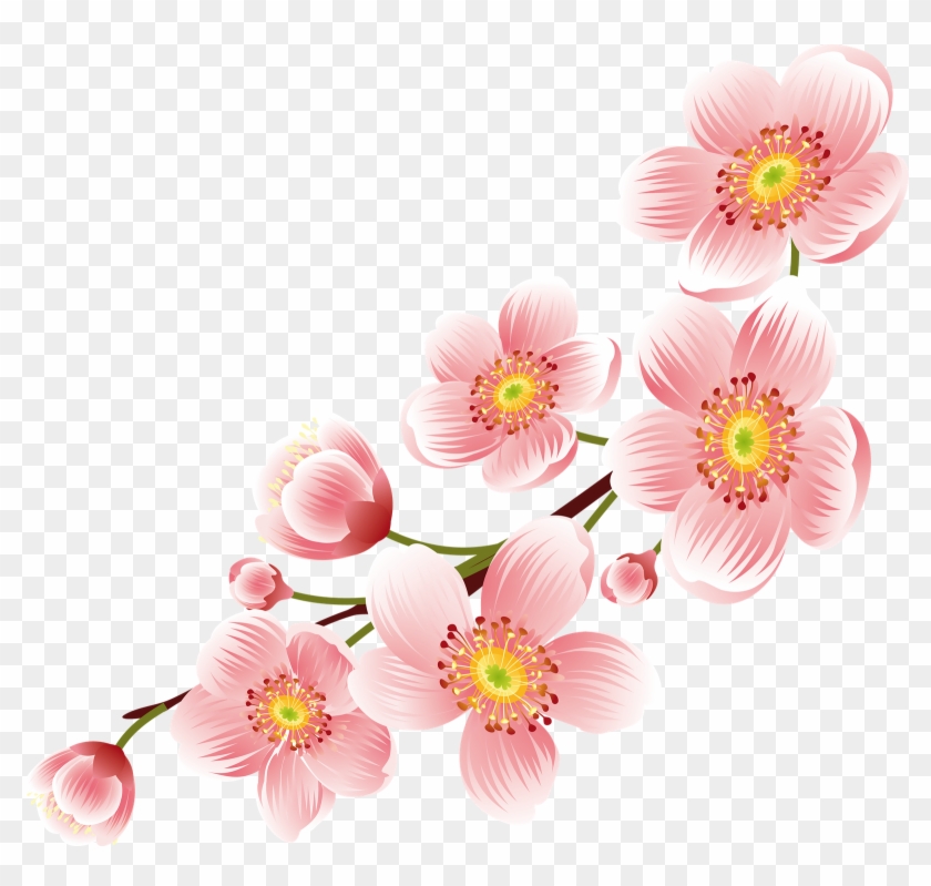 Cherry Blossom Flower Art #762418