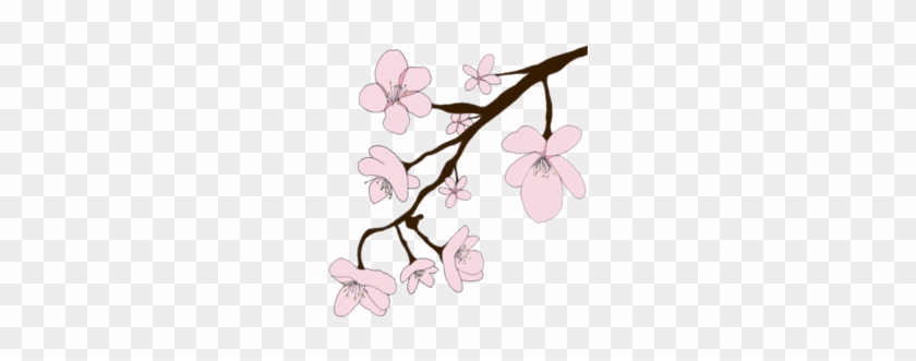 Sakura Png Image With Transparent Background - Sakura #762426