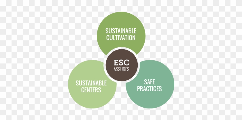 The Ethnobotanical Stewardship Council [in A Perfect - Circle #762442