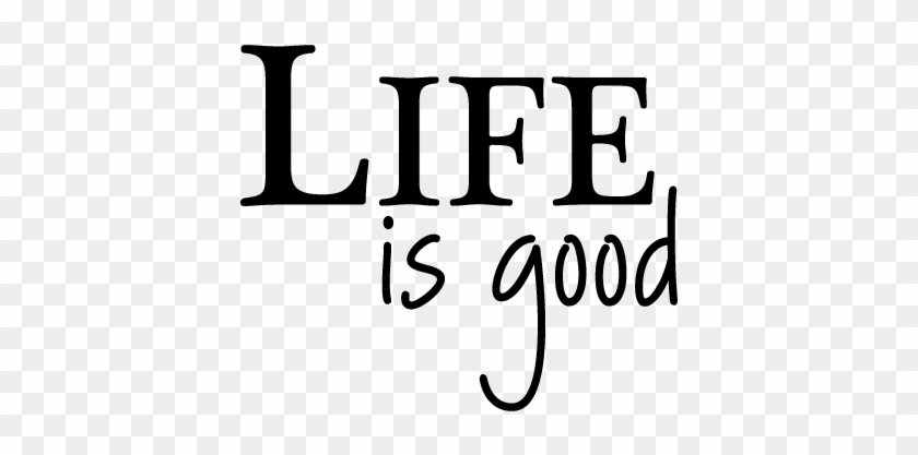 Life Is Good Quotes Impressive Life Is Good Wall Quotes™ - Life Takes You Places Love Brings You Home #762660