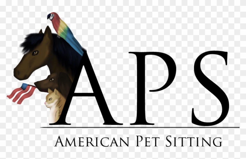 American Pet Sitting - St Mary's College Hyderabad #762682