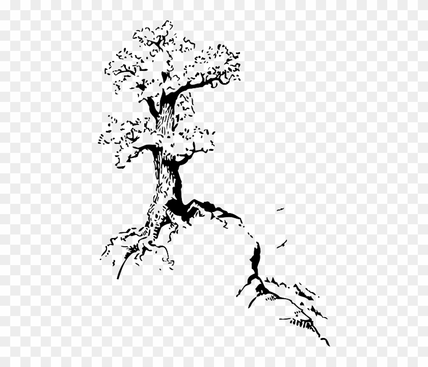 Top, Outline, Silhouette, Tree, Roots, White - Quotes About Trees Drawing #762887