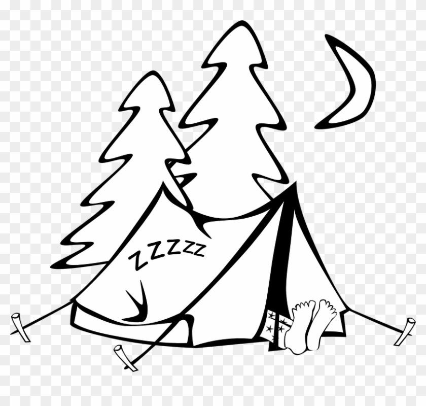 Tree Drawing Outline 19, - Camping Clipart Black And White #762891