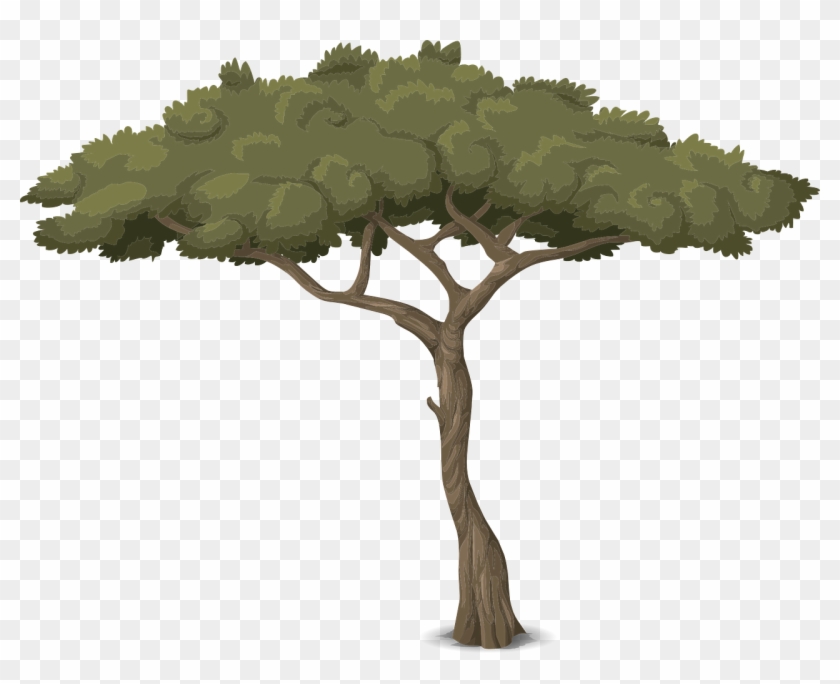 Rama De Tronco De Árbol - Baum Grafik #762980