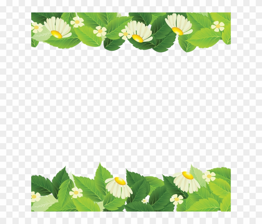 Beautiful Spring Leaves, Plant, Backdrop Png And Vector - Leaf #763016