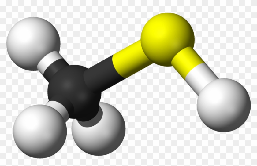 Methanethiol Molecule Model - Mercaptan #763229