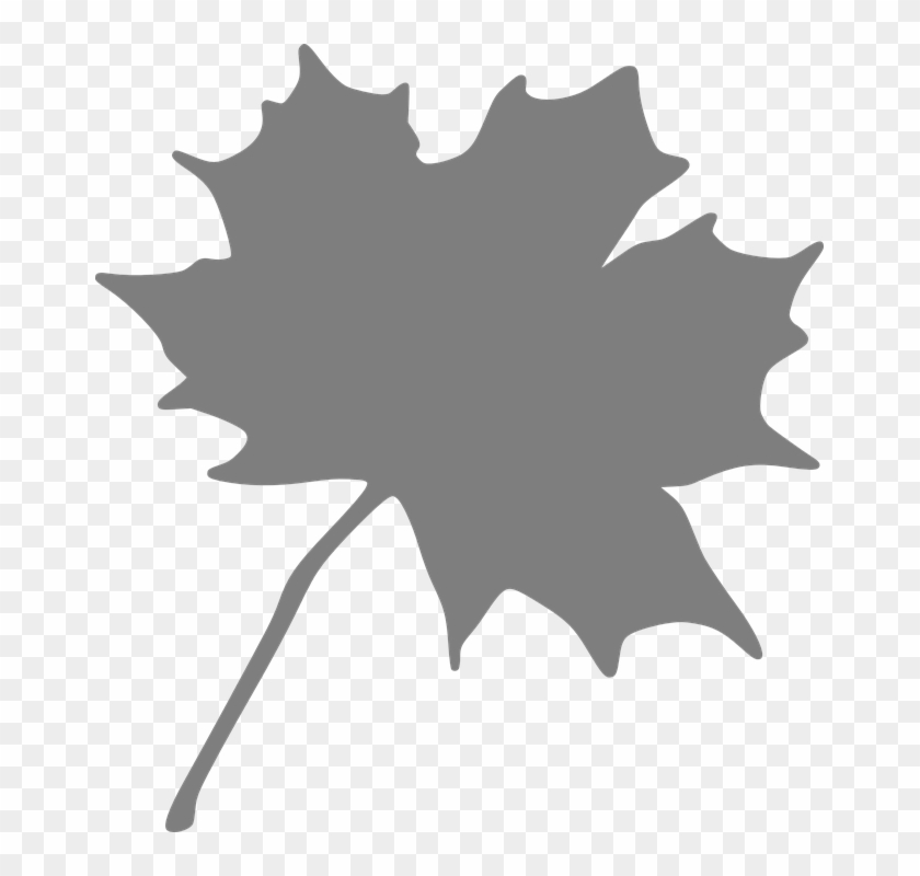 Maple Leaf Silhouette 11, - Maple Leaf Clip Art #763253