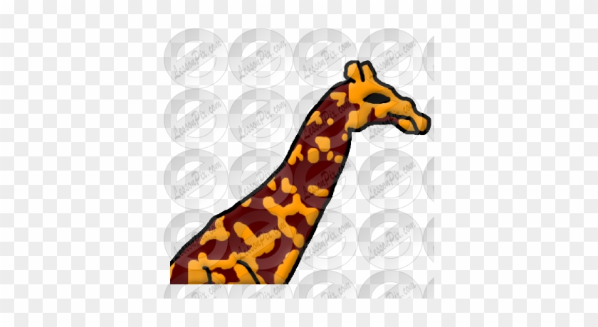 Long Picture - Giraffe #763278