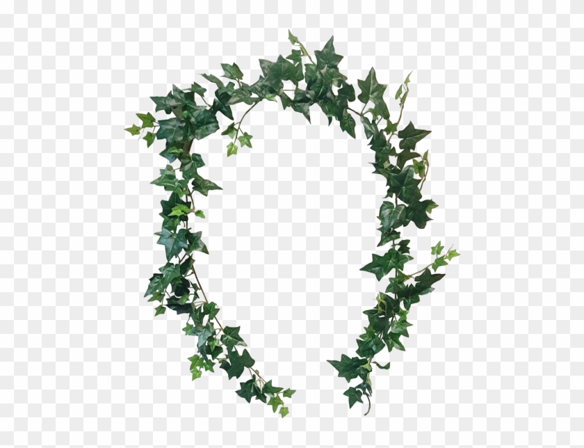 6ft Sage Ivy Garland 171 Leaves - Leaf Garland Png #763360