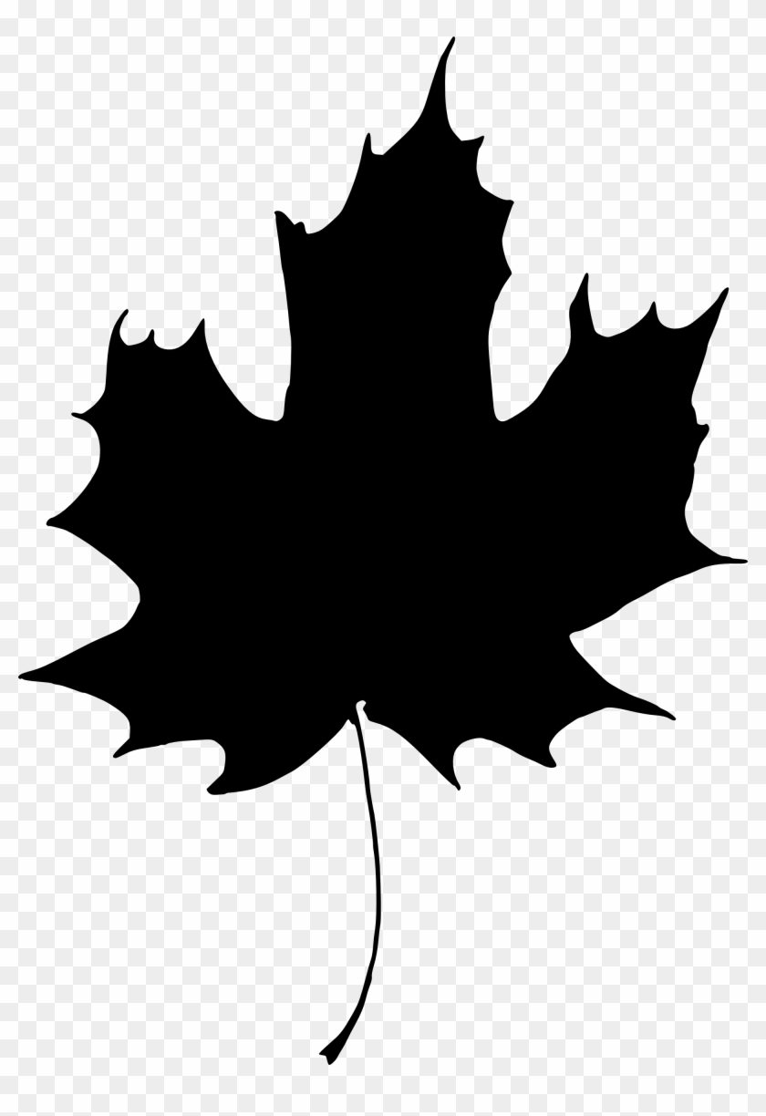 15 Leaf Silhouette - Portable Network Graphics #763409
