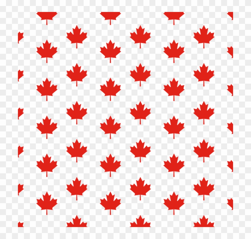 Maple Leaf Canada White 29, Buy Clip Art - Maple Leaf Canada Clipart #763504