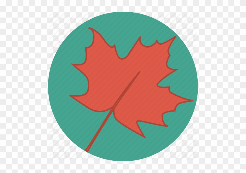 Multicolor Autumn Leaves Flat Vector Icons - Emblem #763526