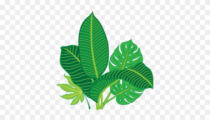 Landscape Design - Landscape #763606