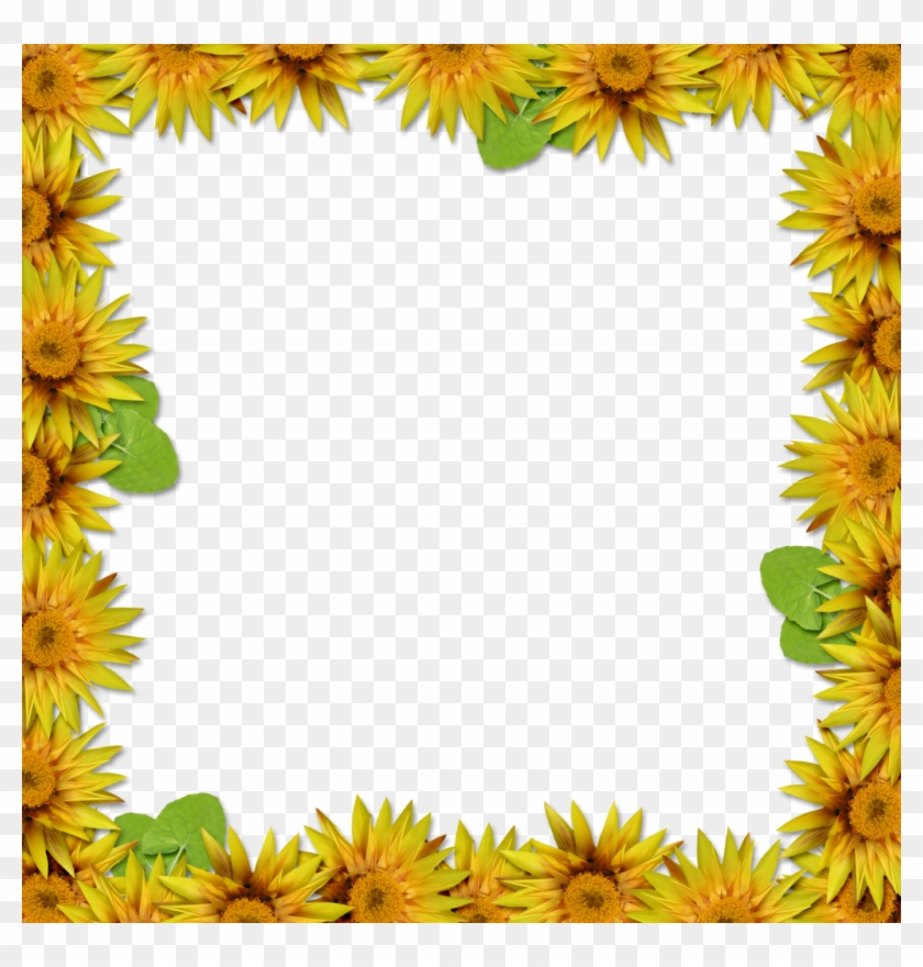 Flower Frame Overlay 2 By Hggraphicdesigns Flower Frame - Flower #763703