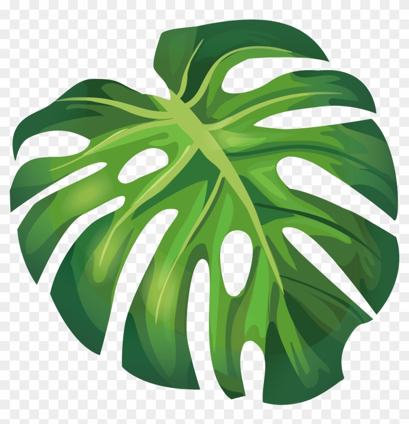 Leaf Arecaceae Euclidean Vector Illustration - Banana Leaf Clip Art #763708