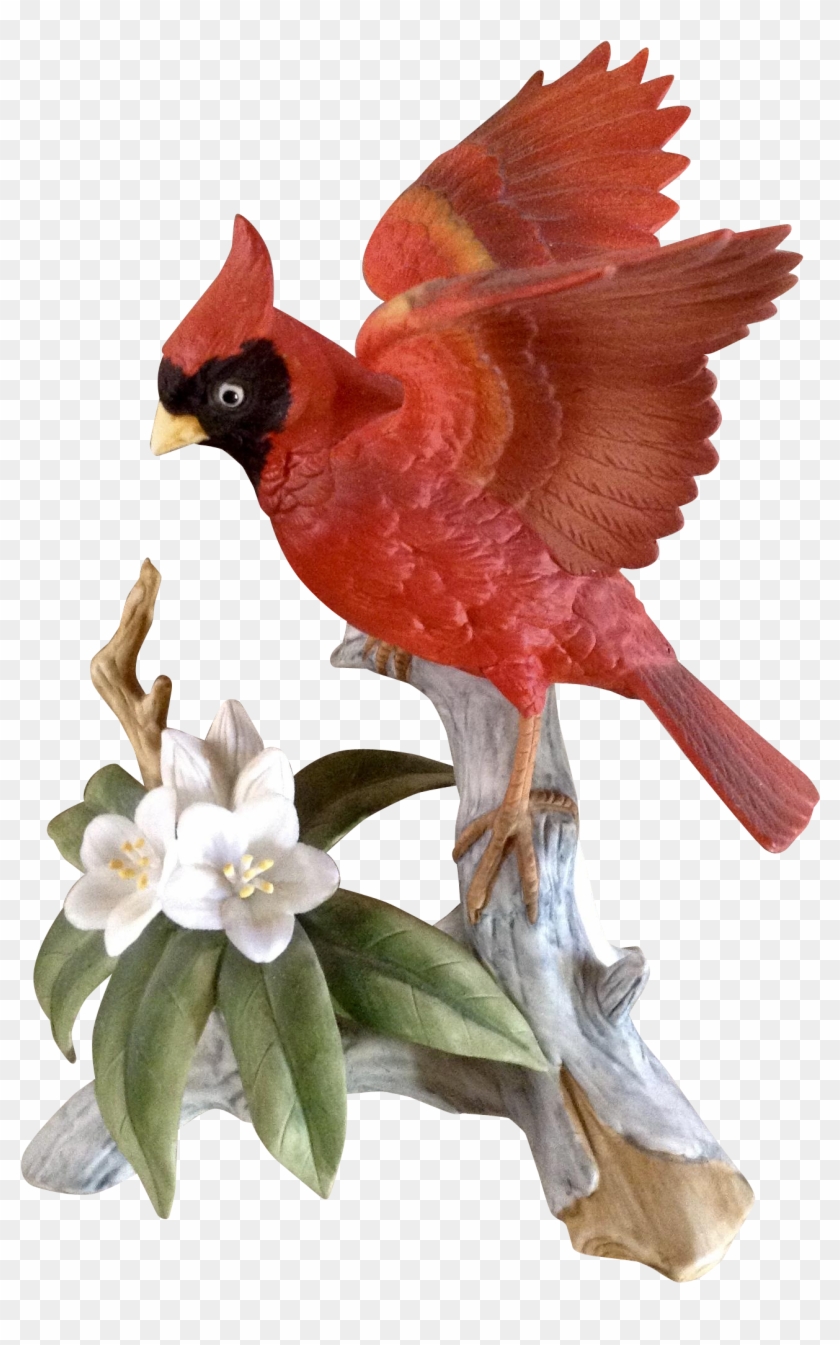Vintage Andrea By Sadek 6231 Red Cardinal Bird Porcelain - Vintage Cardinal Illustration #763713