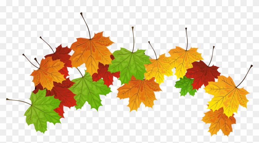 Fall Leaves Png Clipart Image - Portable Network Graphics #763731
