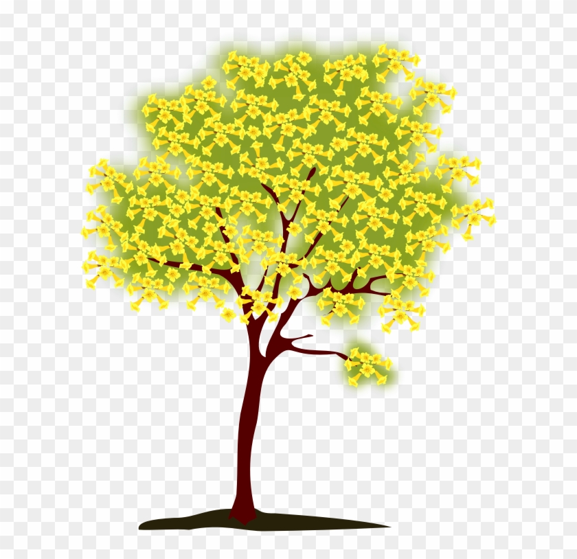 Handroanthus Chrysotrichus Tree Leaf Clip Art - Handroanthus Chrysotrichus Tree Leaf Clip Art #763805