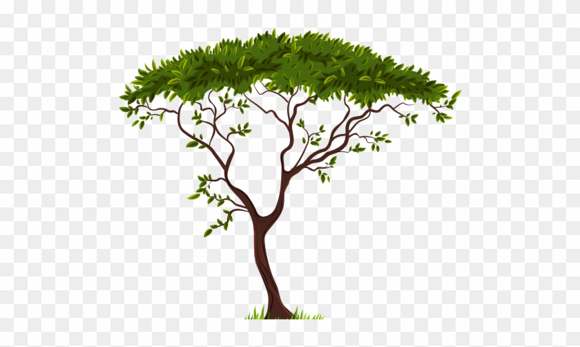 Exotic Tree Png Clip Art - African Tree Silhouette Png #763825