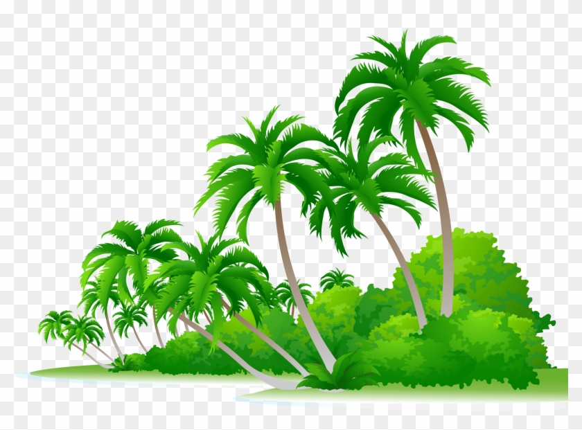 Arecaceae Euclidean Vector Tree Illustration - Arecaceae Euclidean Vector Tree Illustration #763849