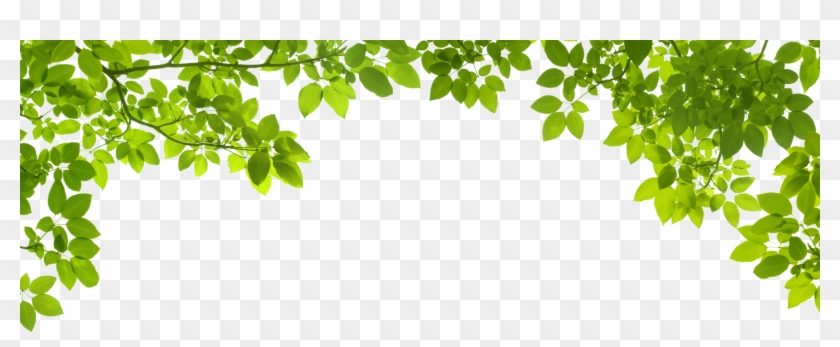 Green Frame Sunglasses Download - Xnvalue Best Bbq Accessories Bundle - Bbq Grill Brush #763850