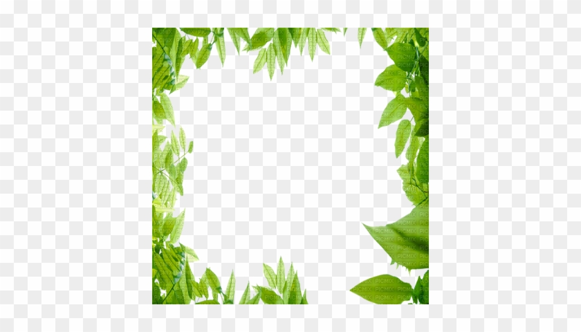 Green Leaves Frame - Nature Frame #763856