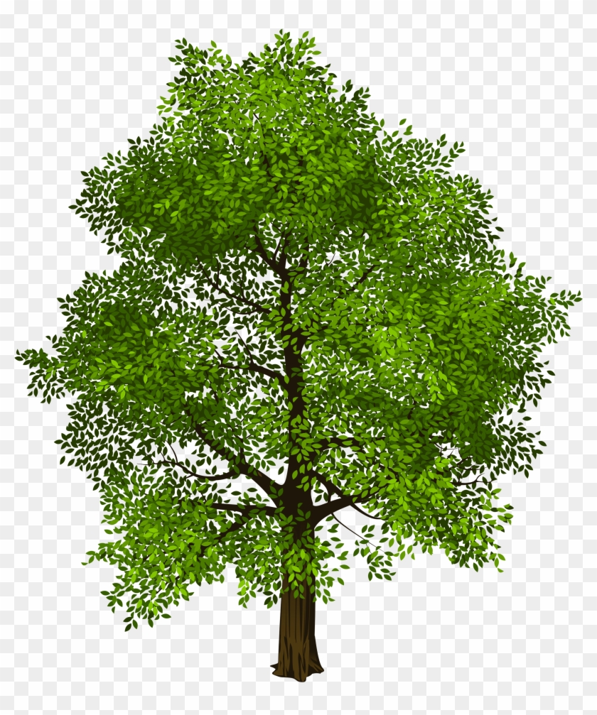 Forest Clip Art Flowers - Transparent Clipart Tree #763866