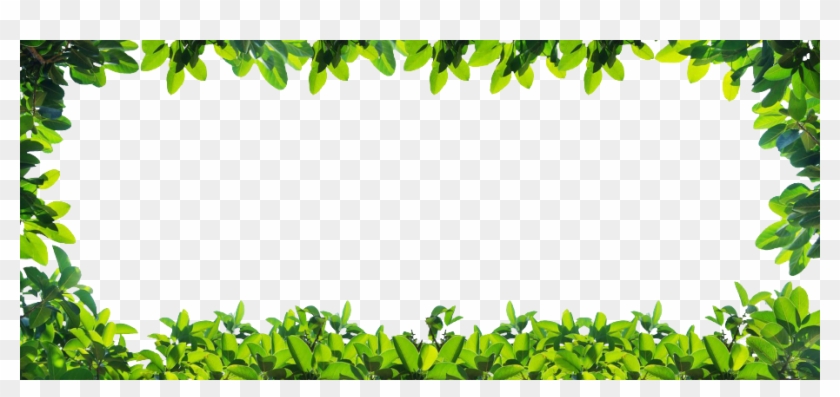 Awesome Plantborder With Plant Transparent Png - Plants Border Background #763864