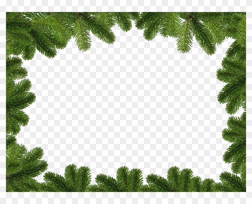 Christmas Background With Fir Branches Free Download - Christmas Day #763893