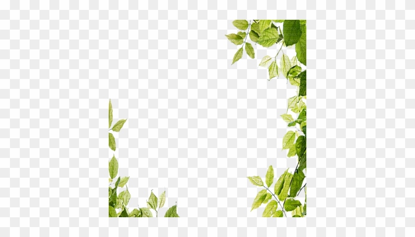 Leaves Green Frame - Leaves Frame Png #763896