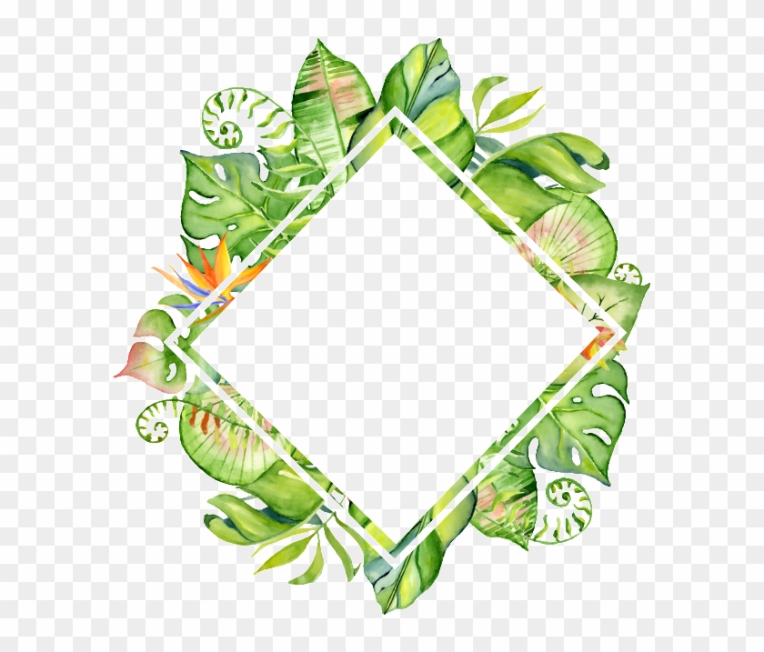 Hand-painted Rhomboid Leaf Frame Png Transparent Material - Watercolor Tropical Leaves Border #763928