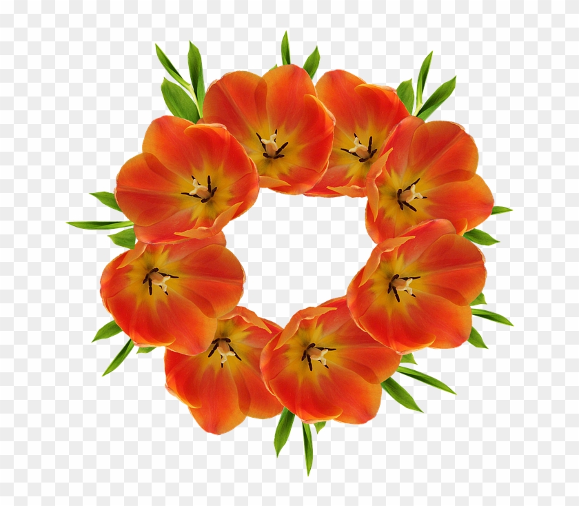 Flower Crown Cliparts 13, Buy Clip Art - Happiness : Nature Flower Coloring Book - Vol. 3: Flowers #763958