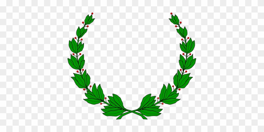 Branch Branches Laurel Leaf Leaves Triumph - Coat Of Arms Leaves #764016