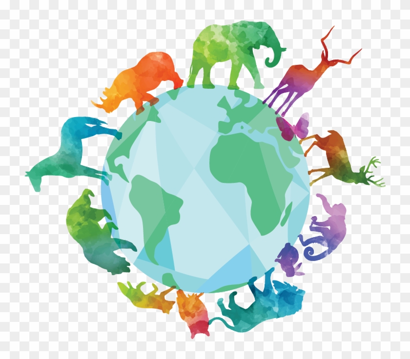Ecosystems And Species Diversity - Biodiversity Clipart Transparent #764034