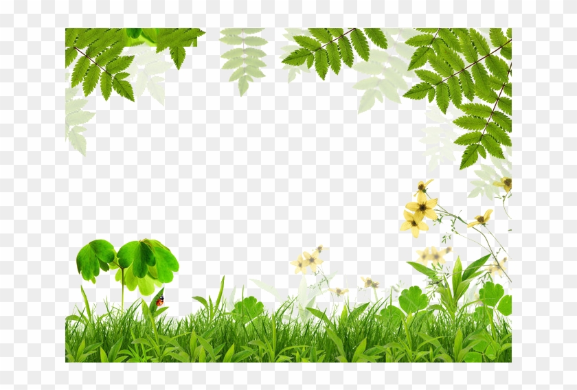 Spring Green Leaf Film Frame - Spring Background Border #764085