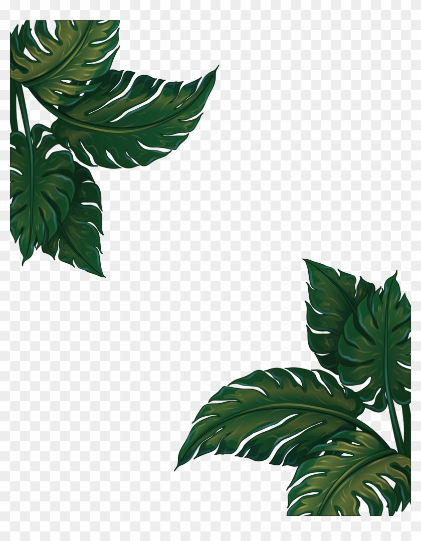 Musa Basjoo Banana Leaf Euclidean Vector - Green Plants Frames Png #764090
