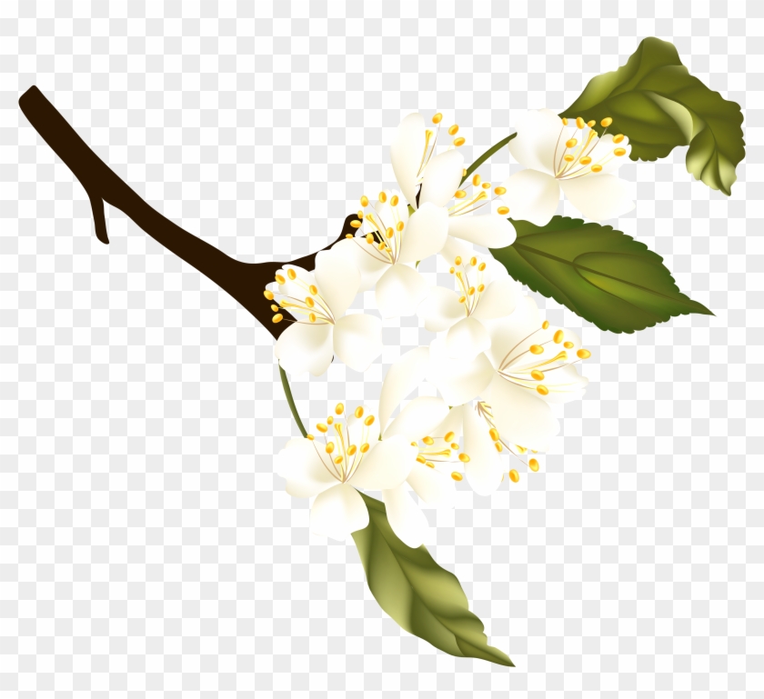 Png Transparent Background Clipart - Spring Element Png #764176