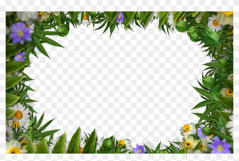 Flower Frame Border Png With Green Leaves Background - Spring Border Transparent Background #764253