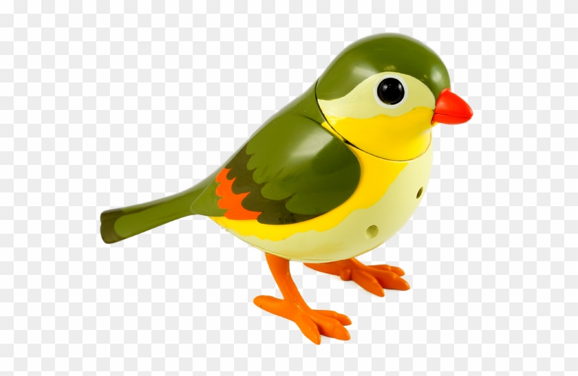 Buddy Green Whistling Bird - Atlantic Canary #765013
