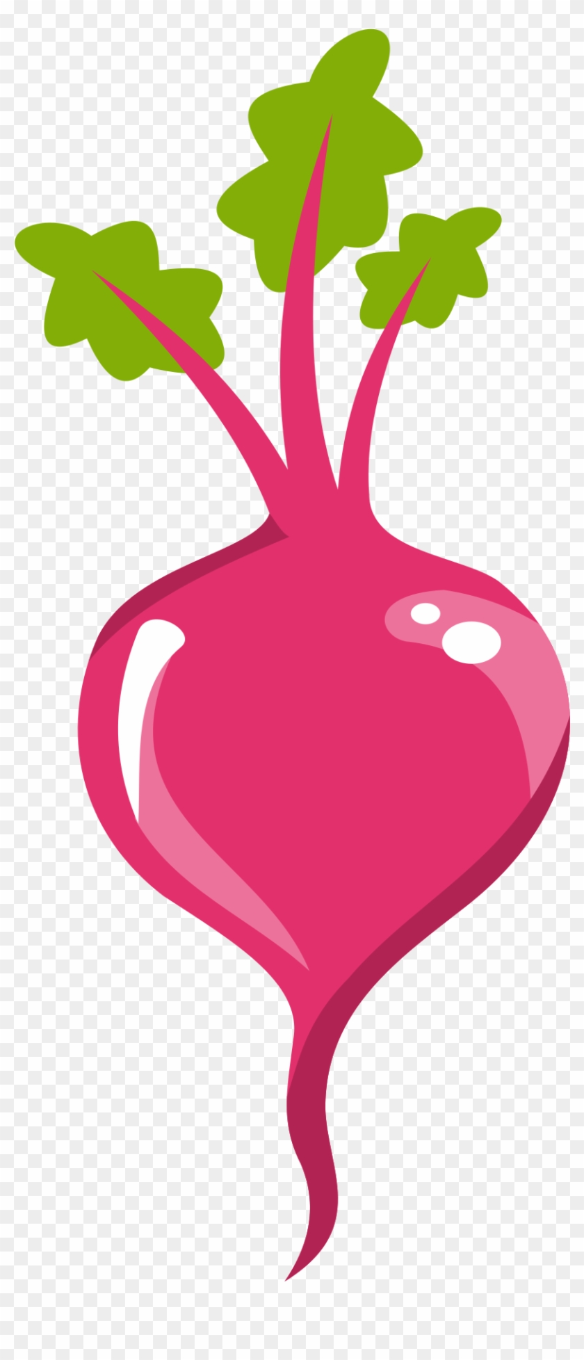 Beterraba Desenho Png #765123