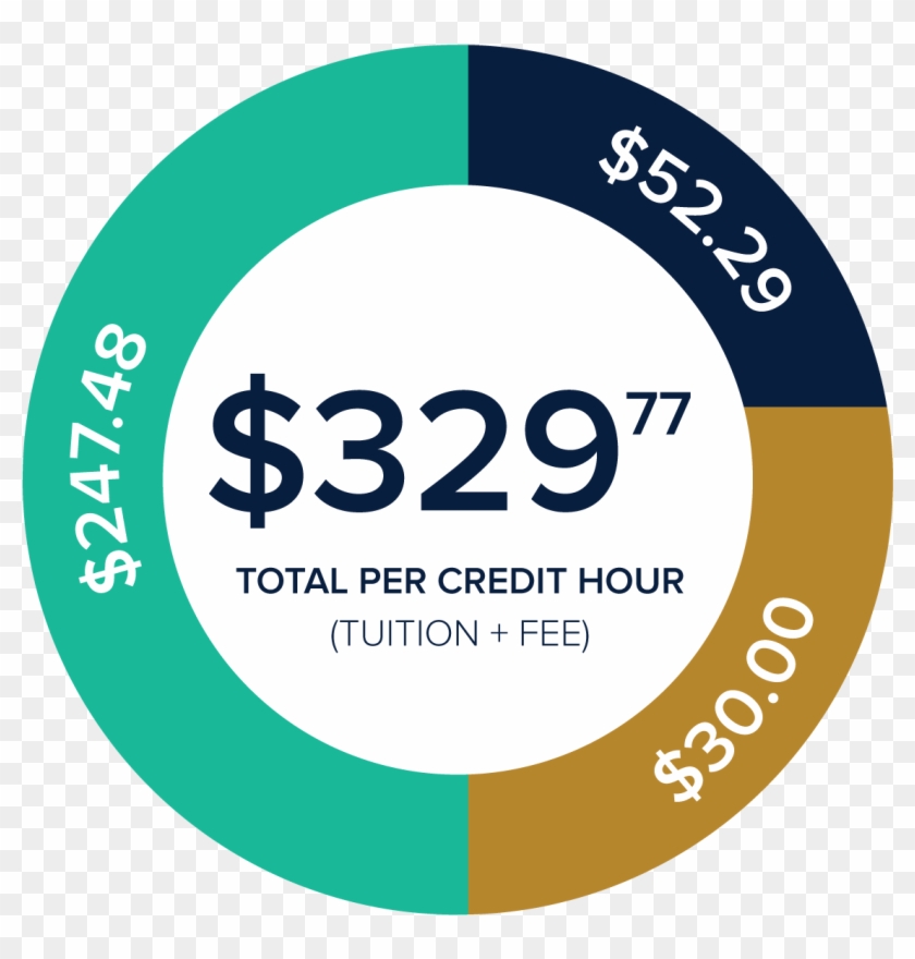 Florida Non Residents Tuition - Tuition Payments #765145