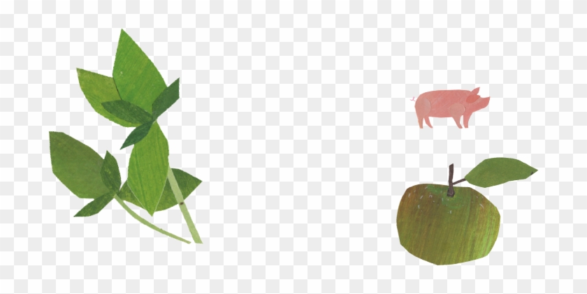 British Pork, Beetroot, And Bramley Apple With Spinach, - Illustration #765269