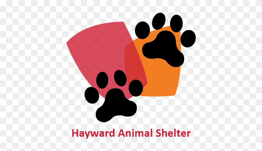 Hayward Animal Services - Hayward Animal Services #765344