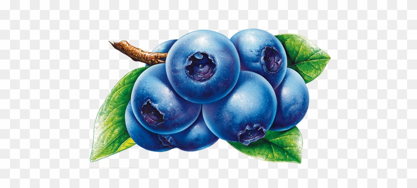Frutti Di Bosco Blueberry Fruit Clip Art - Frutti Di Bosco Blueberry Fruit Clip Art #765386