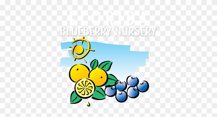 Florida Blueberry Nursery - Florida Blueberry Nursery #765571