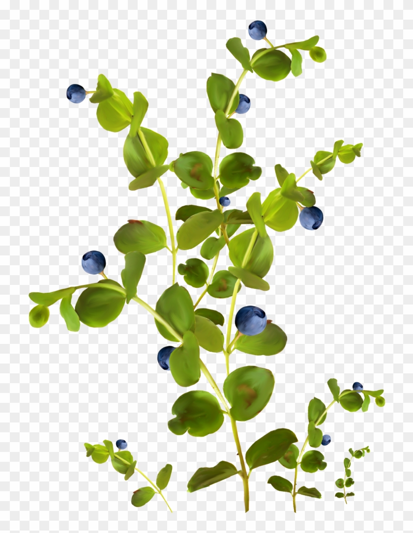 Color Tattoo Blue Clip Art - Color Tattoo Blue Clip Art #765653