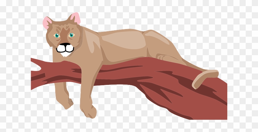 Branch, Color, Art, Animal, Lounging, Cougar - Cougar On A Branch #765612