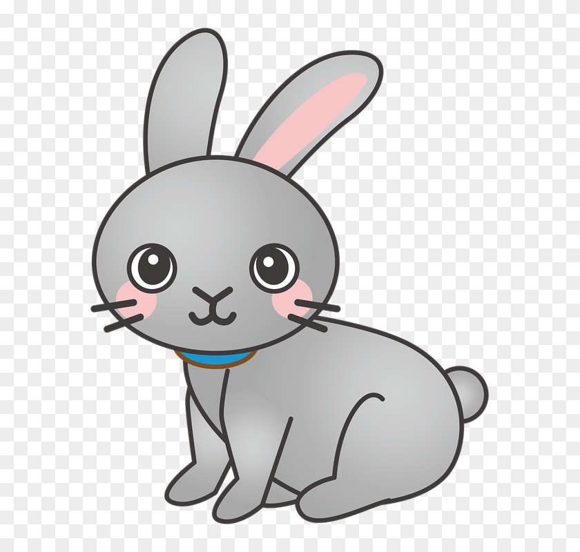 Rabbit, Bunny, Animal, Cute - Cartoon Rabbit #765729