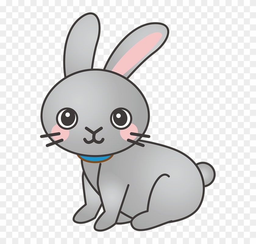 Rabbit, Bunny, Animal, Cute - Cartoon Rabbit - Free Transparent PNG